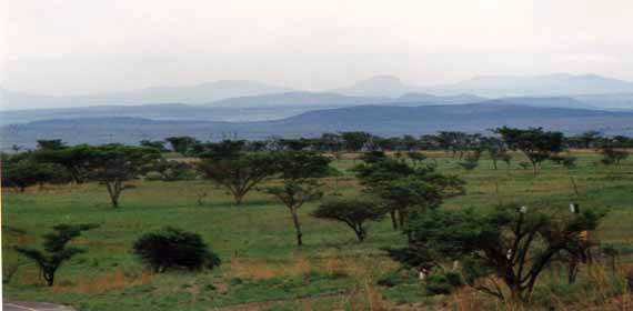Republik Südafrika - Savanne ( Urlaub, Reisen, Lastminute-Reisen, Pauschalreisen )