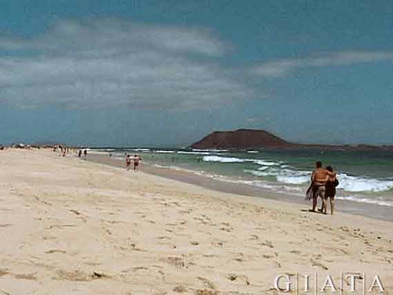 Strand bei Costa Calma, Fuerteventura, Kanaren, Spanien ( Urlaub, Reisen, Lastminute-Reisen, Pauschalreisen )