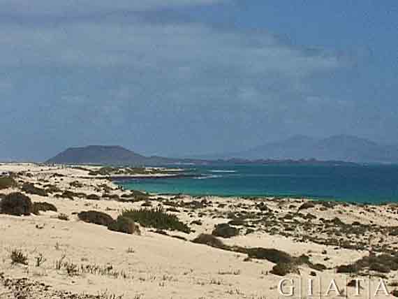 Sanddünen bei Jandia, Fuerteventura, Kanaren ( Urlaub, Reisen, Lastminute-Reisen, Pauschalreisen )