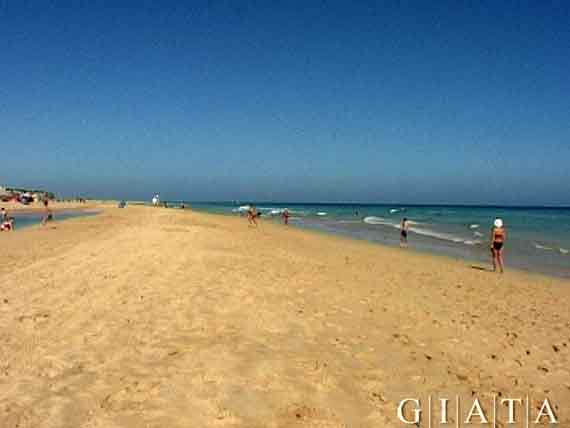 Strand Jandia, Fuerteventura, Kanaren ( Urlaub, Reisen, Lastminute-Reisen, Pauschalreisen )