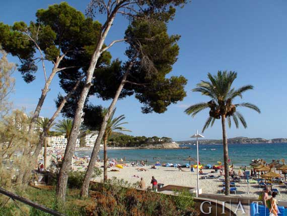 Strand von Paguera (Peguera), Mallorca, Spanien ( Urlaub, Reisen, Lastminute-Reisen, Pauschalreisen )
