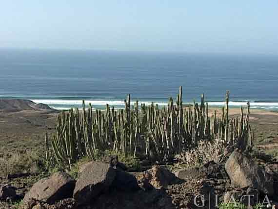 Umgebung Playa de Esquinzo, Fuerteventura, Kanaren ( Urlaub, Reisen, Lastminute-Reisen, Pauschalreisen )