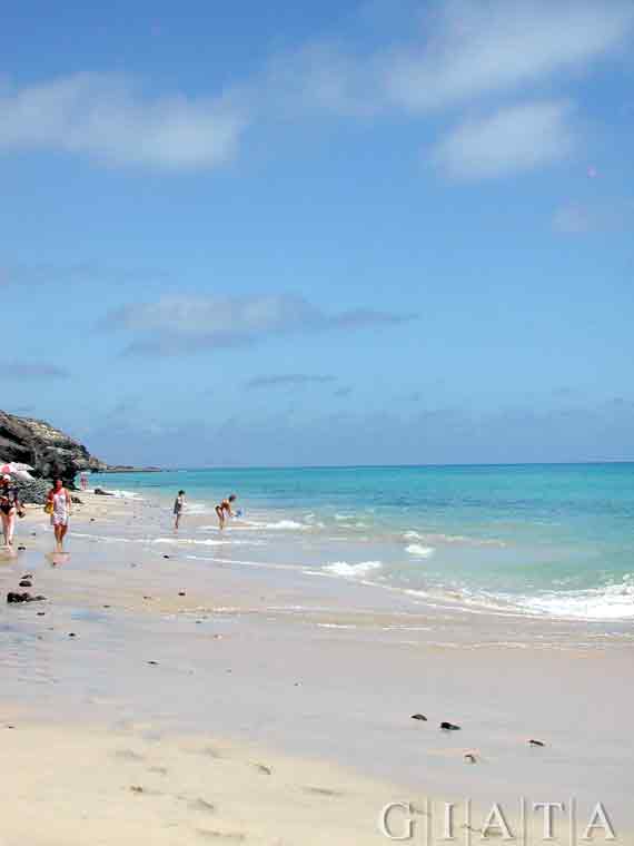 Playa de Esquinzo bei Jandia, Fuerteventura, Kanaren ( Urlaub, Reisen, Lastminute-Reisen, Pauschalreisen )