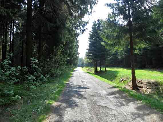 Altvaterturm in Lehesten - Thüringer Wald, Thüringen, Deutschland