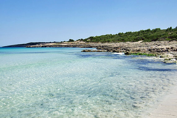 Naturschutzgebiet Punta de n'Amer - Cala Millor, Mallorca ( Urlaub, Reisen, Lastminute-Reisen, Pauschalreisen )