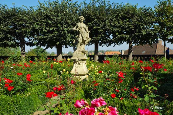 Neue Residenz - Rosengarten ( Bamberg), Franken, Bayern, Deutschland