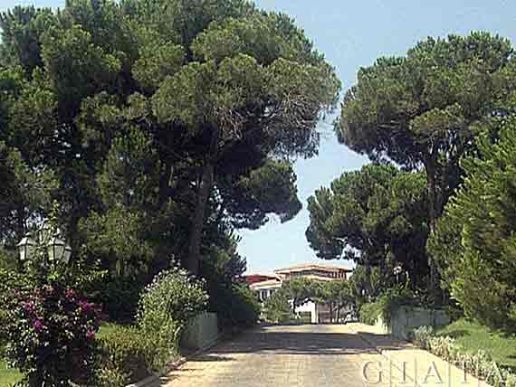 Hotel Belconti Resort - Antalya-Belek, Türkische Riviera, Türkei ( Urlaub, Reisen, Lastminute-Reisen, Pauschalreisen )