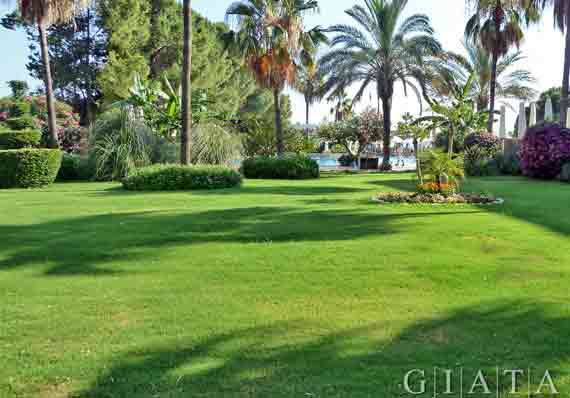 Oleander Beach Resort - Side-Kumköy, Türkische Riviera, Türkei ( Urlaub, Reisen, Lastminute-Reisen, Pauschalreisen )