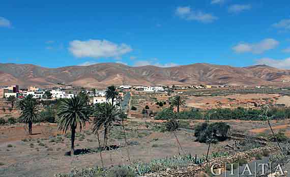 Antigua, Fuerteventura, Kanaren, Spanien ( Urlaub, Reisen, Lastminute-Reisen, Pauschalreisen )