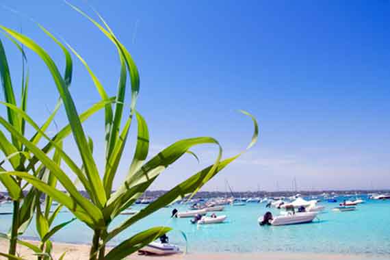 Balearen, Formentera - Lagune Estany des Peix ( Urlaub, Reisen, Lastminute-Reisen, Pauschalreisen )