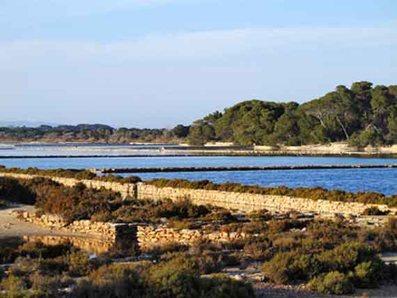 Balearen, Formentera - Ses Salines ( Urlaub, Reisen, Lastminute-Reisen, Pauschalreisen )
