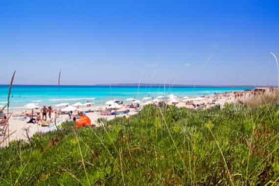 Formentera, Balearen - Playa de Migjorn, Strandabschnitt Es Arenals ( Urlaub, Reisen, Lastminute-Reisen, Pauschalreisen )