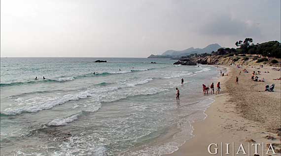 Sandstrand Son Moll in Cala Ratjada, Mallorca, Spanien ( Urlaub, Reisen, Lastminute-Reisen, Pauschalreisen )