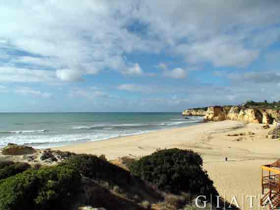 Portugal, Algarve - Strand von Albufeira ( Urlaub, Reisen, Lastminute-Reisen, Pauschalreisen )