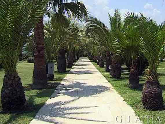 Simena Hotel und Holiday Village in Kemer-Camyuva - Antalya, Türkische Riviera, Türkei ( Urlaub, Reisen, Lastminute-Reisen, Pauschalreisen )