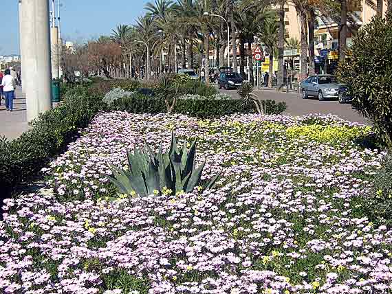 Promenade Playa de Palma, Mallorca, Spanien (Reisen, Urlaub, Lastminute)