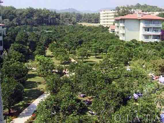 Hotel Alara Park in Avsallar-Incekum - Türkische Riviera, Türkei ( Urlaub, Reisen, Lastminute-Reisen, Pauschalreisen )