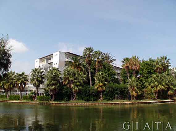 Hotel Roc Boccaccio, Puerto de Alcudia, Mallorca ( Urlaub, Reisen, Lastminute-Reisen, Pauschalreisen )