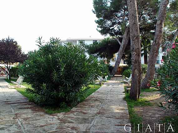 Appartements HSM Lago Park - Playa de Muro, Alcudia, Mallorca ( Urlaub, Reisen, Lastminute-Reisen, Pauschalreisen )