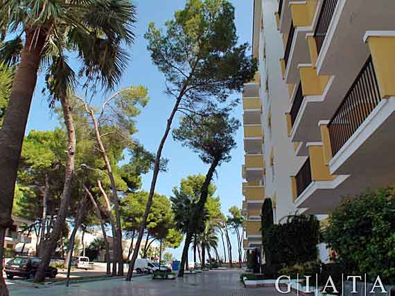 Iberostar Alcudia Park - Playa de Muro, Alcudia, Mallorca ( Urlaub, Reisen, Lastminute-Reisen, Pauschalreisen )