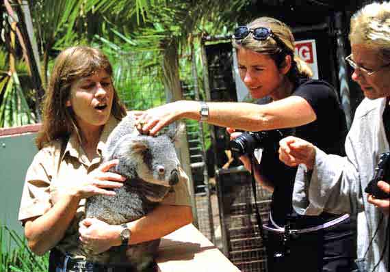 Australien, Queensland - Australia Zoo ( Urlaub, Reisen, Lastminute-Reisen, Pauschalreisen )