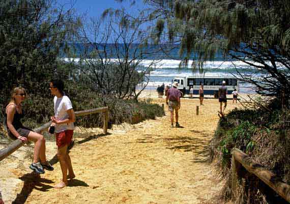 Australien, Queensland, Strand von Fraser Island ( Urlaub, Reisen, Lastminute-Reisen, Pauschalreisen )