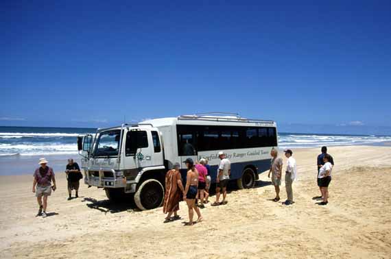 Australien, Queensland, Strand von Fraser Island ( Urlaub, Reisen, Lastminute-Reisen, Pauschalreisen )