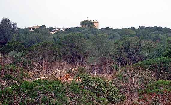  Naturschutzgebiet Punta N’Amer, Cala Millor, Mallorca ( Urlaub, Reisen, Lastminute-Reisen, Pauschalreisen )