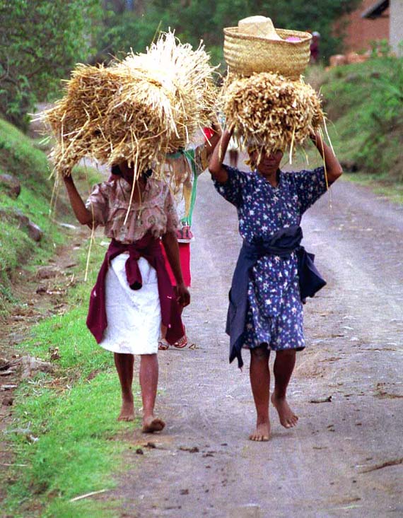 Landfrauen auf Madagaskar ( Urlaub, Reisen, Lastminute-Reisen, Pauschalreisen )