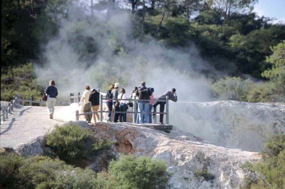 Neuseeland, Geyser im Wai-O-Tapu Thermal Wonderland ( Urlaub, Reisen, Lastminute-Reisen, Pauschalreisen )