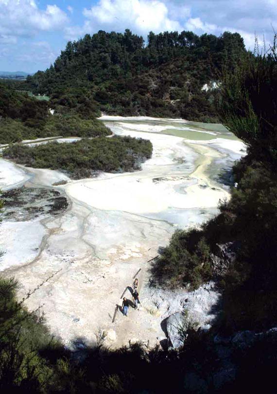 Neuseeland, Geyser im Wai-O-Tapu Thermal Wonderland ( Urlaub, Reisen, Lastminute-Reisen, Pauschalreisen )