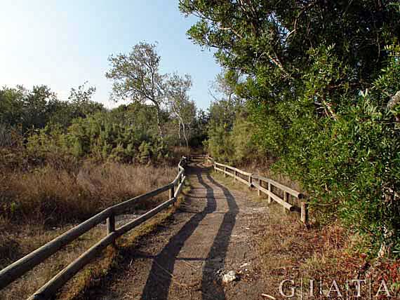 Parc natural de s’Albufera de Mallorca, Alcudia ( Urlaub, Reisen, Lastminute-Reisen, Pauschalreisen )