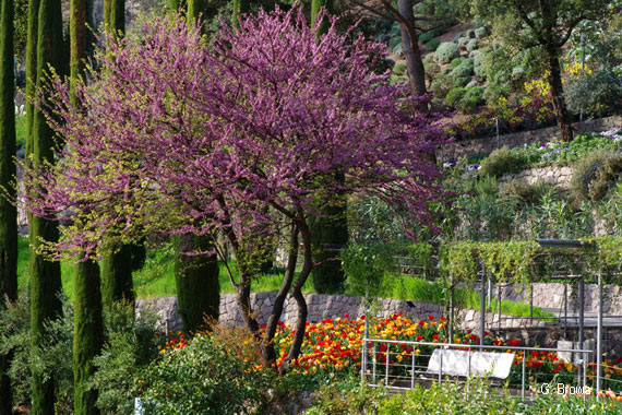 Die Gärten von Schloss Trauttmansdorff in Meran, Südtirol, Italien