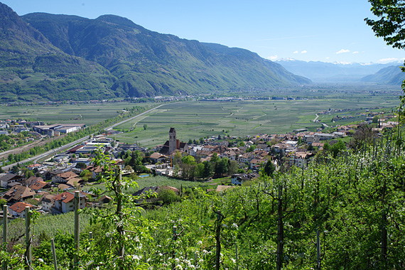 Marling bei Meran, Südtirol, Italien ( Urlaub, Reisen, Ferien, Wandern, Waalweg )