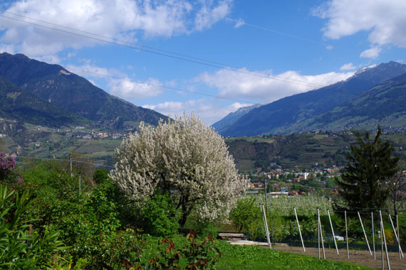 Landhaus Hotel Kristall – Marling bei Meran, Südtirol, Italien ( Urlaub, Reisen, Ferien, Wandern )