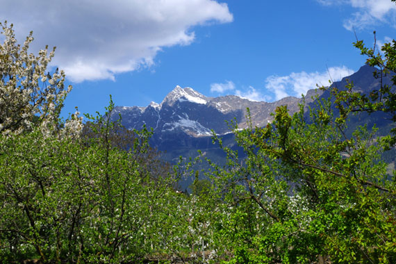 Landhaus Hotel Kristall – Marling bei Meran, Südtirol, Italien ( Urlaub, Reisen, Ferien, Wandern )