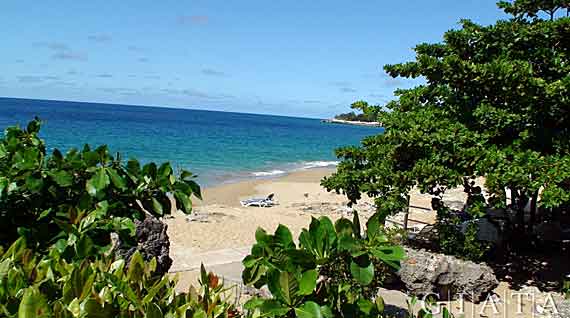 Strand Sosua, Dom. Republik (Urlaub, Reisen, Last-Minute-Reisen, Pauschalreisen)