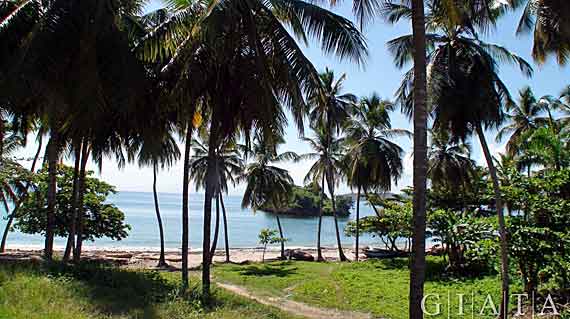 Strand Halbinsel Samana, Dom. Republik (Urlaub, Reisen, Last-Minute-Reisen, Pauschalreisen