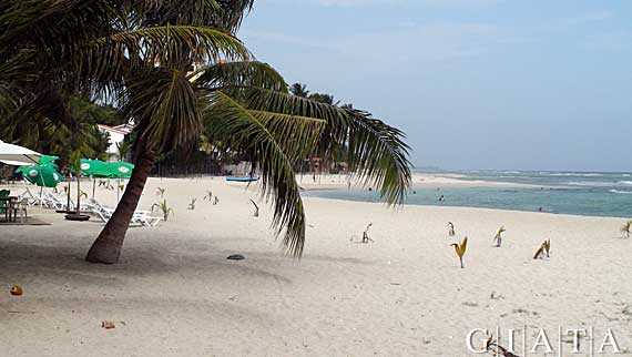 Strand Südküste, Dom. Republik (Dominikanische Republik)