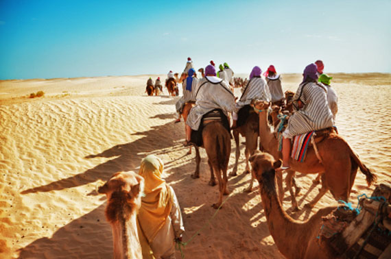 Ägypten, Toursiten auf Dromedars ( Urlaub, Reisen, Lastminute-Reisen, Pauschalreisen )
