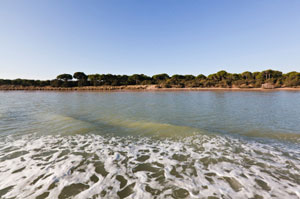 Spanien, Costa de la Luz: Guadalquivir-Naturschutzgebiet ( Urlaub, Reisen, Lastminute-Reisen, Pauschalreisen )