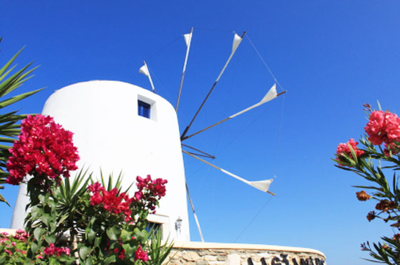 Griechenland, Griechische Insel Paros (Kykladen Inseln) - Windmühle ( Urlaub, Reisen, Lastminute-Reisen, Pauschalreisen )