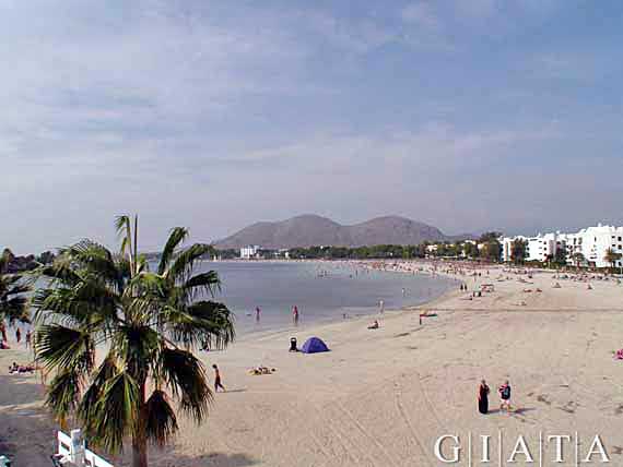  Bucht von Alcudia, Mallorca, Balearen, Spanien ( Urlaub, Reisen, Lastminute-Reisen, Pauschalreisen )