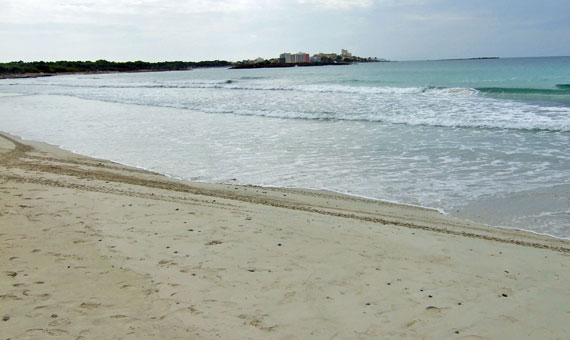 Mallorca, Ses Salines - Sant Jordi - Naturstrand Es Trenc ( Urlaub, Reisen, Lastminute-Reisen, Pauschalreisen )