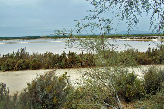 Mallorca, Ses Salines - Sant Jordi - Salinas de Llevant ( Urlaub, Reisen, Lastminute-Reisen, Pauschalreisen )