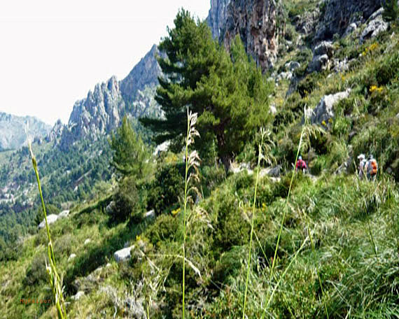 Mallorca, Küstenwanderung von Port de Soller nach Sa Calobra ( Urlaub, Reisen, Lastminute-Reisen, Pauschalreisen )