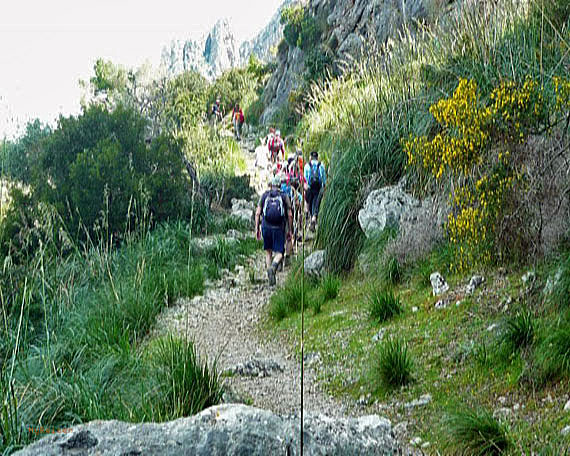 Mallorca, Küstenwanderung von Port de Soller nach Sa Calobra ( Urlaub, Reisen, Lastminute-Reisen, Pauschalreisen )