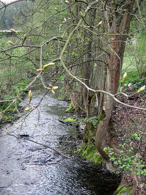 Fischbachmühle, Werksverkauf Confiserie Burg Lauenstein, Ludwigstadt, Oberfranken, Bayern