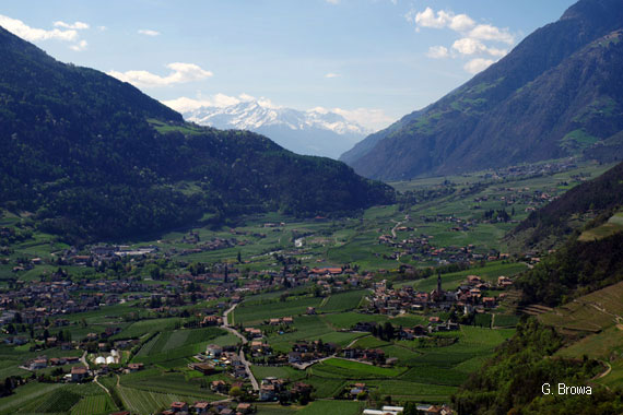 Blick auf Algund von Dorf Tirol aus - Suedtirol, Italien, Wandern, Hotel
