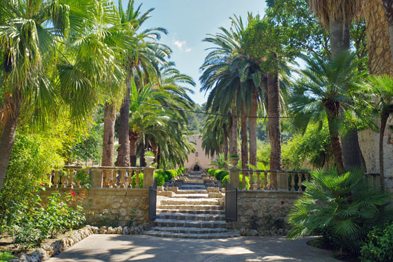 Mallorca, Balearen - Die Gärten von Alfàbia (Jardins d'Alfàbia) ( Urlaub, Reisen, Lastminute-Reisen, Pauschalreisen )